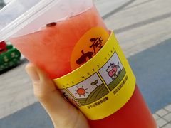 -丸摩堂鲜果茶(城南优品道店)