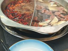 -金鼎雪山牦牛杂火锅(理县总店)