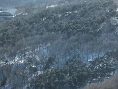 -北京西山国家森林公园