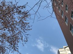 -淄博蓝海国际大饭店·蓝钻国际美食自助百汇(柳泉路店)
