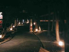 -清迈夜间动物园