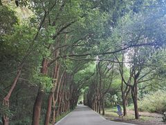 -同里国家湿地公园