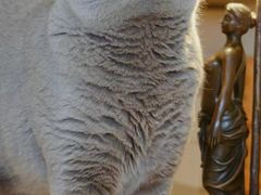 -Me Coffee下午茶艺术空间