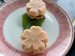 -Hi City·城市之巅