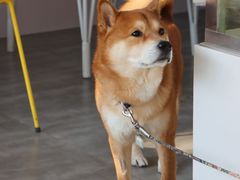 -五进制 Coffee Shop