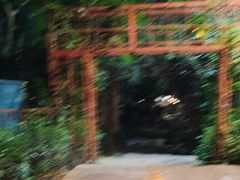 -金山植物公园