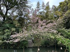 -成都杜甫草堂博物馆