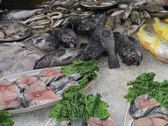 -和源祥·日照菜扛把子(万平口一店)