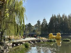 -宁波儿童公园(鄞州区)