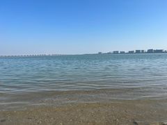 -集美鳌园景区