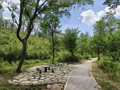 -青龙山国家森林公园