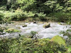 -富正毅三下锅连锁(三店)