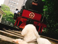 -江墅铁路遗址公园