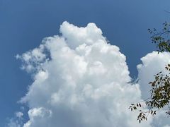 -捞旺猪肚鸡(街道口店)