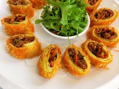 鸭丝春卷-玉林烤鸭店(定福庄店)