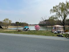 -贡湖湾湿地公园