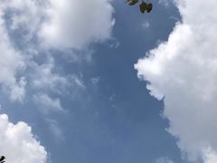 -南京市无想山景区