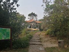-风云岭森林公园