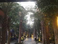 -云境生态园(红谷滩店)