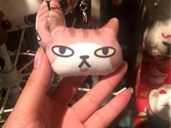 -猫咪博物馆(顶澳仔猫街店)