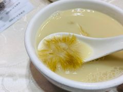 -凤城礼记鱼翅海鲜酒家(新马路总店)