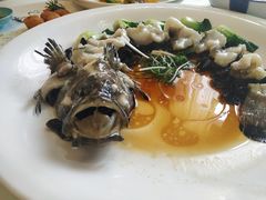 -樱苑(四川北路店)