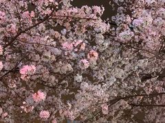 -永乐路-路侧停车场