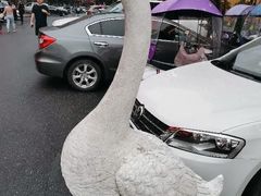 -巢湖名吃·东关老鹅汤(江南风情街店)