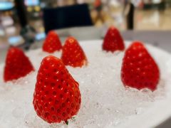 -红雀围·海鲜火锅(陆家嘴中心店)