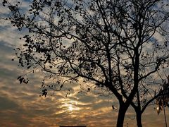 -蓝海国际大饭店·蓝钻自助百汇(兰山店)