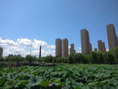 -前关湿地公园