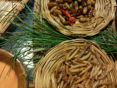 -昆虫窝子·特色云南菜(拓东路总店)