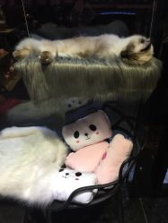 -隅日式美甲美睫專門店