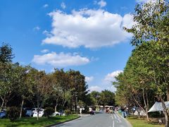 -贡湖湾湿地公园