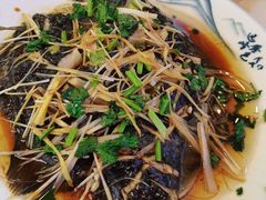 清蒸多宝鱼-富临港·蒸汽海鲜·手抓海鲜·炒菜(栈桥店)