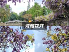 -西南交通大学(九里校区)