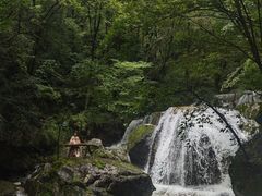 -牛背梁国家森林公园