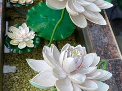 -嘉厨小馆(宜山路店)