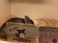 -龙猫仔乐园(惠福东路店)