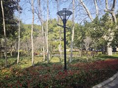 -徐家汇源景区-衡山公园