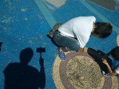 -武清南湖绿博园