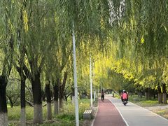 -绿堤公园
