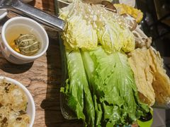 -春润大地海南椰子鸡(沙井京基百纳广场店)