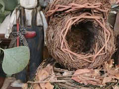 -春风·有糖(崇宁路店)