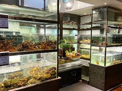 -甄御•海鲜新青岛菜(麦岛店)