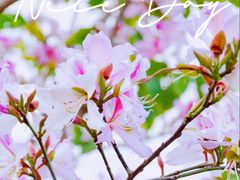 -海珠儿童公园
