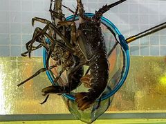 -碗中海·蒸汽海鲜·桑拿鸡(岭南天地店)