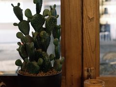 -Uncle Kosto科斯托·中东菜