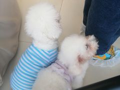 -怪兽屋·羊驼·猫咖·狗咖(俊华广场店)