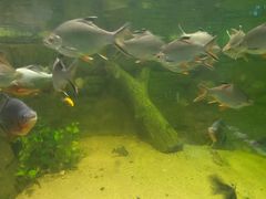-常州海昌海洋探索馆